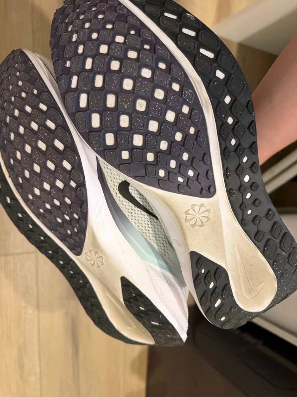 Nike men pegasus